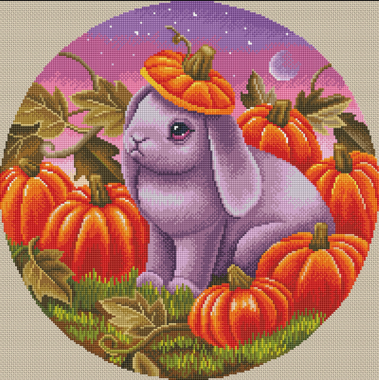 Pumpkin Bun by Andrea Guzzetta (circular image)