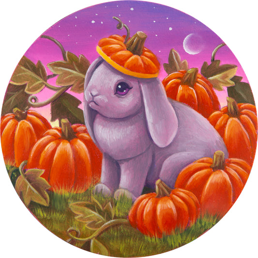 Pumpkin Bun by Andrea Guzzetta (circular image)